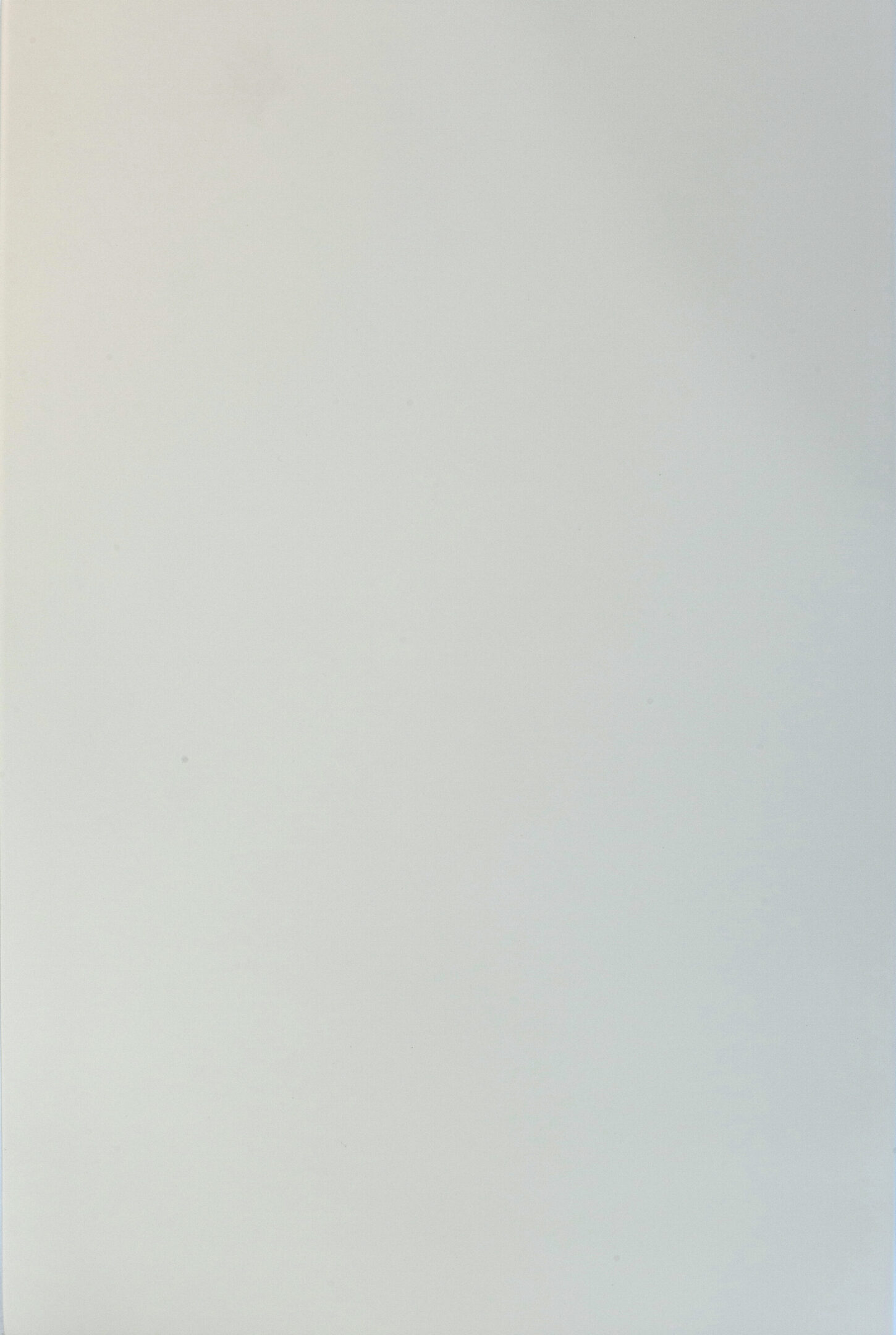 Blank, light-colored surface with subtle texture.