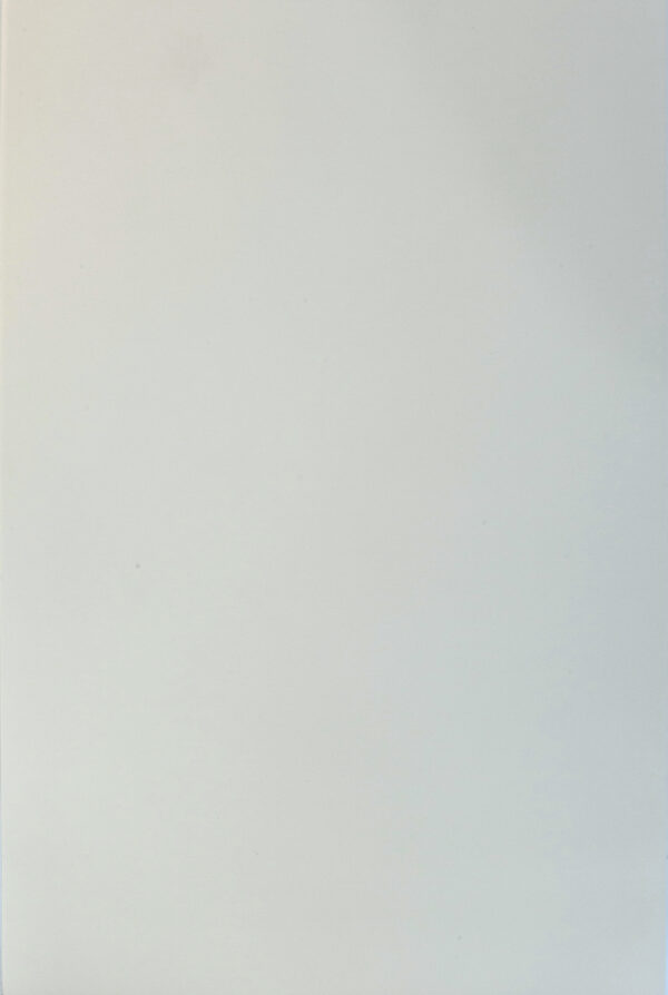 Blank light gray background image.